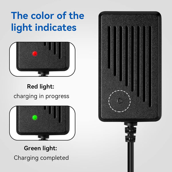 Dual-charge Adapter - English